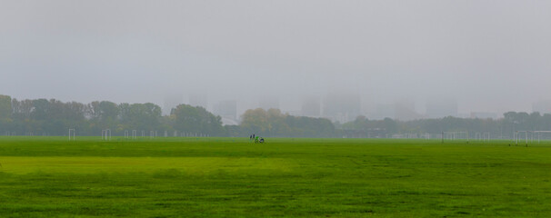 morning in the field © Tudor