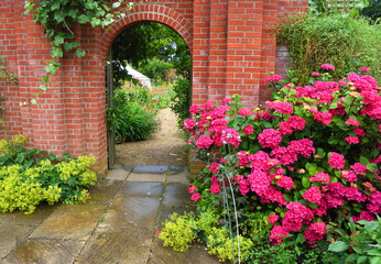 Brick Arch in Garden Wall with Pink  Hydrangea in foreground