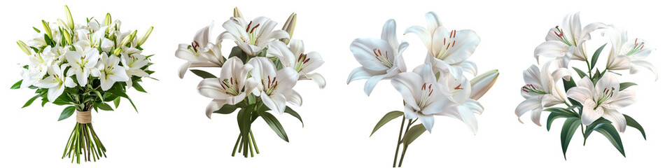 Fototapeta premium set of A Bouquet of white lily flowers isolated on a transparent background, cutout as a PNG file 