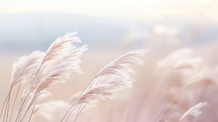 Obraz premium Tranquil beauty in a minimalist setting. 