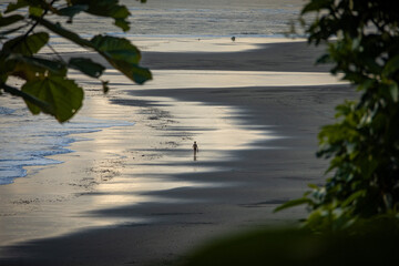 person walking on massive tropical beach