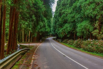 Obraz premium Açores - Ilha Terceira 