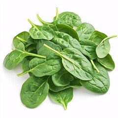 Fototapeta premium Fresh Spinach Leaves on White Background