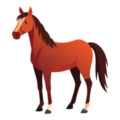 vector horse on white background