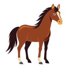 Obraz premium vector horse on white background
