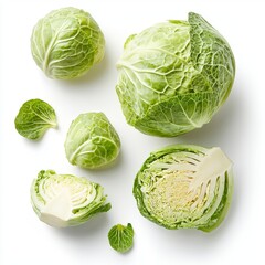 Fototapeta premium White background with a green cabbage isolated on it.