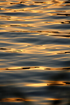 Sunset in Water