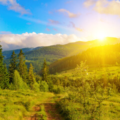 Obraz premium Picturesque mountain landscape with mountain ranges, coniferous forests and bright sunrise.