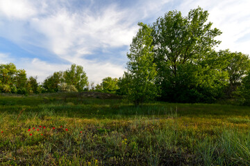 Idyllische Natur-Landschaft in der Dobrudscha - Durankulak, Bulgarien