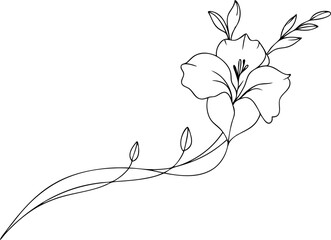 Gladiolus Line Drawing with Branch - Minimalist Floral Art Vector Illustration