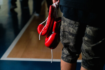 Boxing gloves 