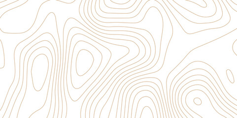 Fototapeta premium Abstract wave paper curved reliefs background .gradient multicolor wave curve lines banner background design .topographic contours map background .Vector geographic contour map. 