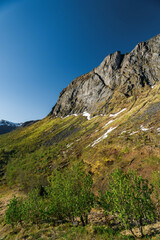 Fototapeta premium View from Bergsbotn utsiktsplattform on Senja island in Norway