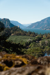 landscape in the mountains