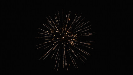 Fototapeta premium Fuego artificial 