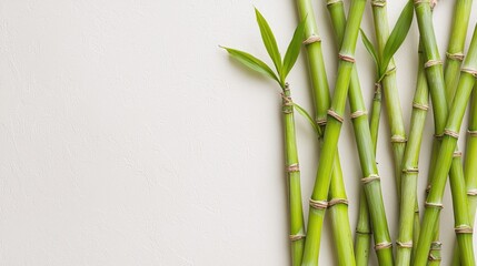 Naklejka premium Green bamboo shoots arranged against a light textured background, showcasing their vibrant color and natural beauty.