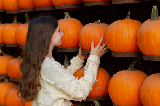 brown haired caucasian girl picking a pumpkin from a wall of pumpkins