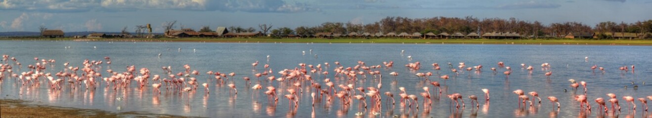 Naklejka premium Kenia in Ostafrika - Lake Amboseli im Amboseli National Park