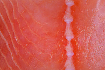 Fototapeta premium Red salmon fish as background macro photo.