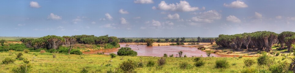 Fototapeta premium Kenia in Ostafrika - Tsavo Ost National Park mit Fluß Sabaki
