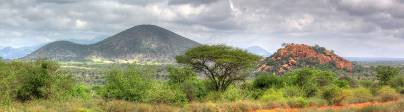 Kenia in Ostafrika - Tsavo West National Park Landschaftsansicht