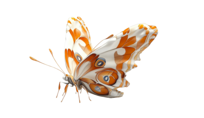 butterfly on a white background