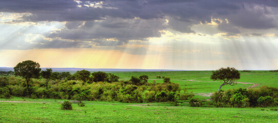 Kenia in Ostafrika - Masai Mara National Park Landschafts-Panorama
