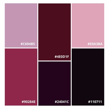 Six color combinations, a collection of vector color palettes with RGB codes, Fashion concept, brand layout. A guide to tone and color. Different color solutions.
