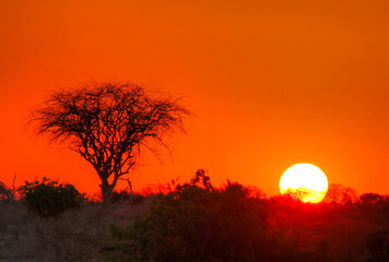 Sunrise or Sunset in Kenya (East Africa)