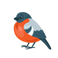 Cute little bullfinch. Isolated on white background. Vector flat illustration. 