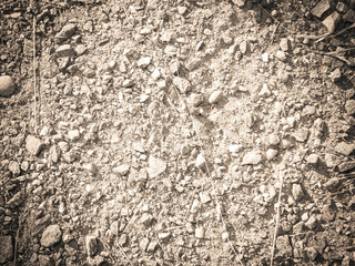 Ground and stones as a natural background.