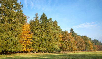 Obraz premium Autumn landscape on a sunny day.