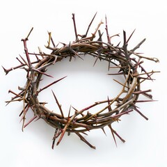 Fototapeta premium Crown of thorns on a white background representing the suffering and sacrifice of jesus christ