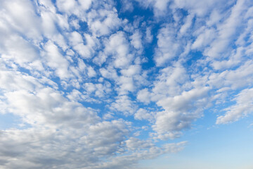 Obraz premium 高積雲 叢雲 羊雲