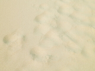 Shoe print on the sand