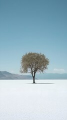 tree in the snow