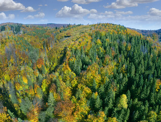 Colorful autumn forests in the mountains - Silesian or Tesin Beskydy, northeastern Czech Republic, Moravia