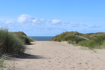 sand dunes on the coast