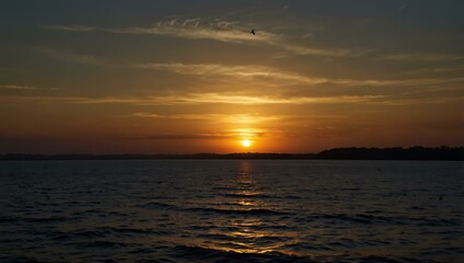 Dramatic silhouettes against a sunset.