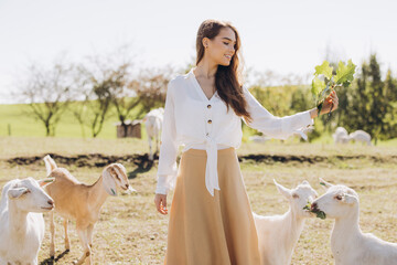Young Woman Enjoys a Peaceful Day on Farm Feeding Goats Outdoors in Serene Countryside Setting
