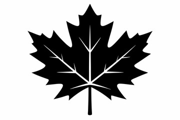 Canadian maple leaf black silhouette vector, maple leaf icon