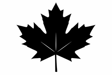 Fototapeta premium Canadian maple leaf black silhouette vector, maple leaf icon