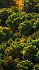 Lush green trees against a shimmering gold background.