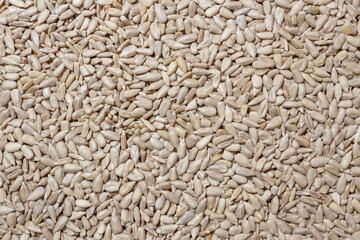Peeled Sunflower Seeds Background: A Culinary Canvas of Shell-free Sunflower Seeds, Creating a Lively and Textured Background for Gourmet Cooking - Top View, Flat Lay