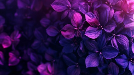 Ultraviolet floral pattern