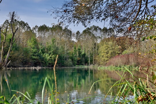 Naturschutzgebiet bei Vogtsburg im Kaiserstuhl