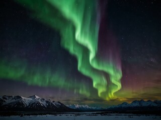 The northern lights dancing in the sky.