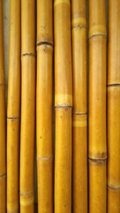 Fototapeta premium Close up of natural bamboo wall with textured knots in warm tones