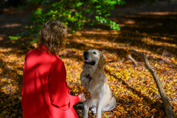 A Golden Retriever in a park full of autumn leaves looks at his female owner who is about to throw up a handful of leaves.