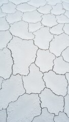 Obraz premium Hexagonal salt flat mosaic with surreal white crystals